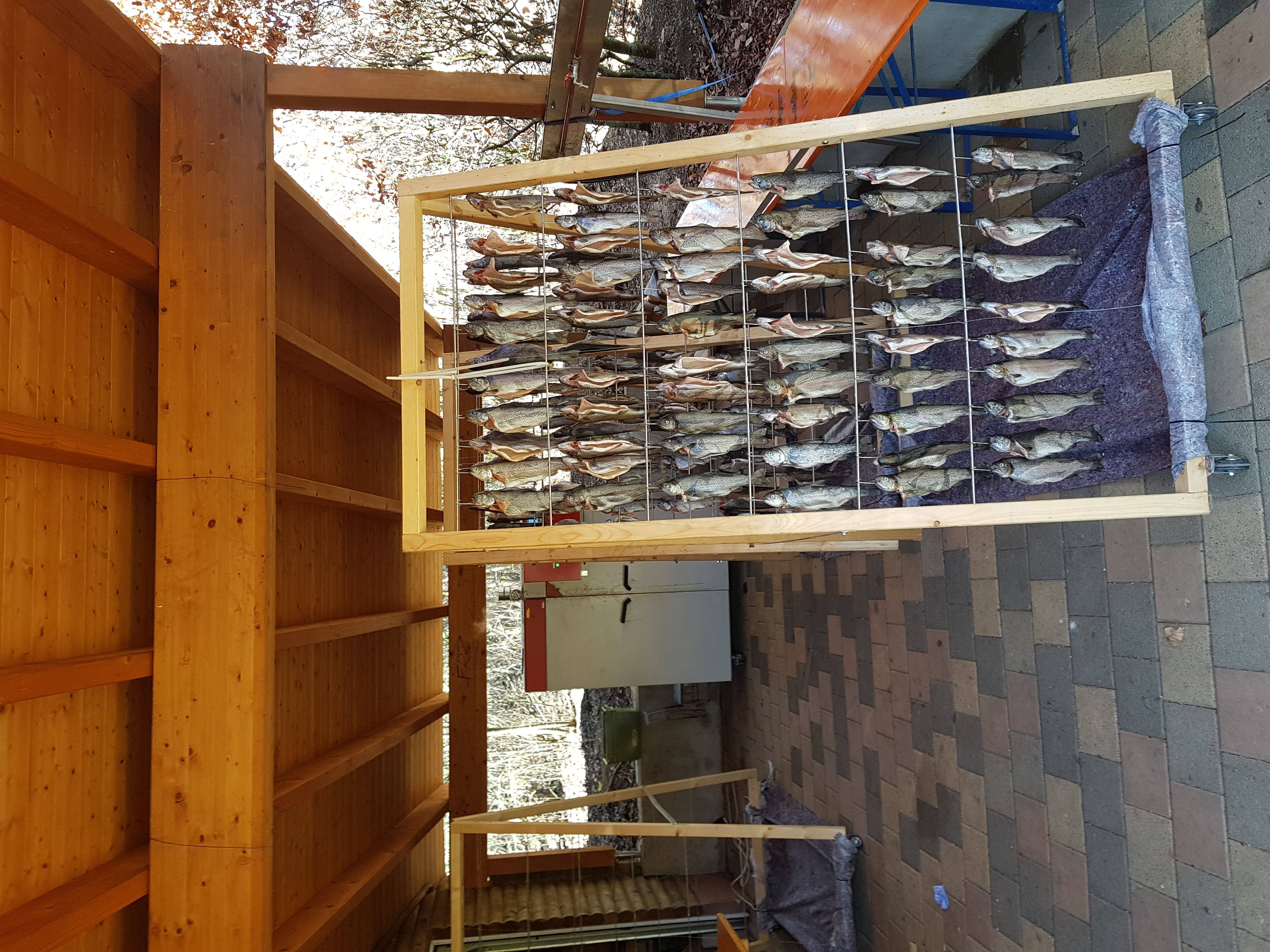 Galeriebild: 20230404 130130